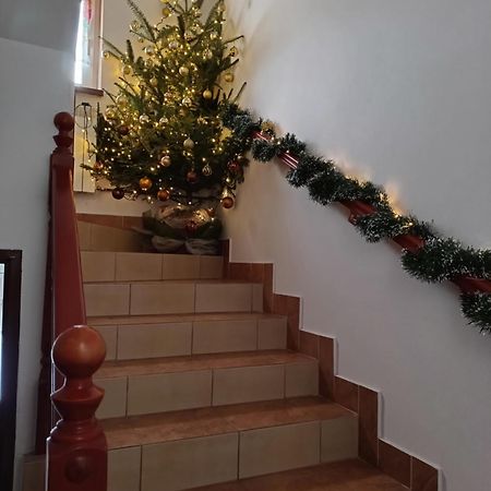 Noclegi U Brody Hoczew المظهر الخارجي الصورة